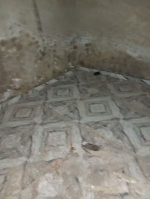 Big Shop, Off Lawanson, Surulere, Lagos, Shop for Rent