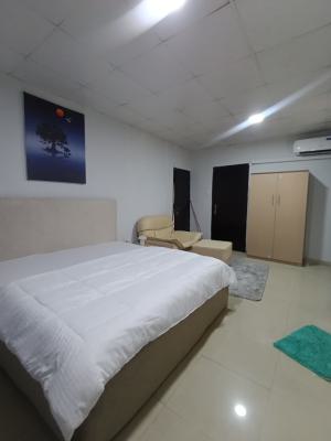 Moderately Furnished 3 Units of 2 Bedrooms, Adeniyi Jones, Ikeja, Lagos, Flat / Apartment Short Let