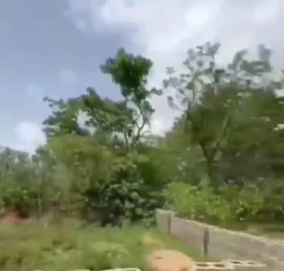 2,294.23 Sqm of Land, Katampe (main), Katampe, Abuja, Residential Land Joint Venture