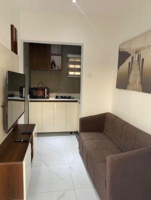 2 Units of Mini Cozy One Bedroom Apartment, Tom Ogboi Str, Itedo Estate, Lekki Phase 1, Lekki, Lagos, Flat / Apartment Short Let