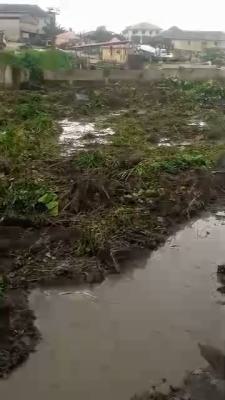 500sqmt Plot of Land (promo), Agric, Ikorodu, Lagos, Residential Land for Sale