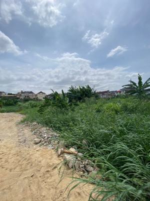 Bareland Land Measuring 834.232sqm., Palmgroove Estate, Ilupeju, Palmgrove, Ilupeju, Lagos, Residential Land for Sale