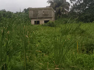 Land with C of O