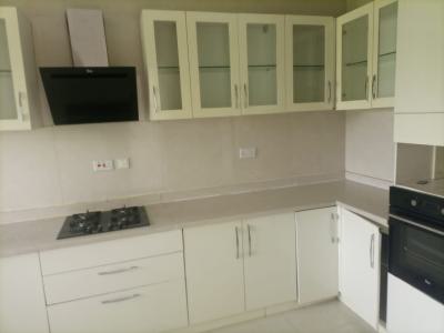 5 Bedroom Detached House with Bq and Elevator, Banana Island, Ikoyi, Lagos, Detached Duplex for Rent