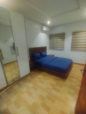 Standard and Specious Mini Flat, Off Freedom Way, Lekki Phase 1, Lekki, Lagos, Flat / Apartment for Rent