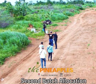 Plots and Acres of Residential Land in Imota, Ikorodu, Imota, Ikorodu, Lagos, Residential Land for Sale