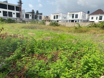 Very Good Offer in a Premium Call and Enter Estate, Peninsula Garden, Olokonla, Ajah, Lagos, Land for Sale