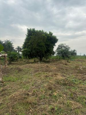 Buy to Earn Agricultural Farmland with Trusted Management, Aiyepe, Along Agbowa, Ijebu Ode, Ogun, Commercial Land for Sale
