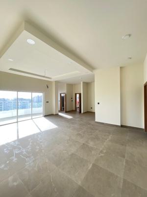 Luxury 3 Bedroom Apartment with a Bq Swimming Pool and Gym, Victoria Island (vi), Lagos, Flat / Apartment for Rent