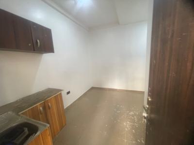 Luxury Clean One Bedroom Flat, Life Camp By Dantata Asba Estate Close to The Round About, Life Camp, Abuja, Mini Flat (room and Parlour) for Rent