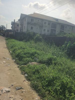 2 Plots of Land in a Secured Estate with Closed Proximity to The Road, Badore Road, Ajah, Badore, Ajah, Lagos, Mixed-use Land for Sale