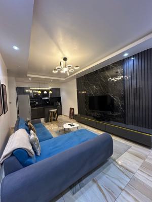 Luxury 1bedroom Apartment, Ikate, Lekki, Lagos, Mini Flat (room and Parlour) Short Let