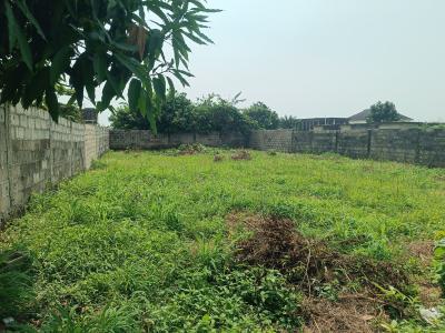615 Sqm of Dryland with Cofo, Monastery Road, Sangotedo, Ajah, Lagos, Land for Sale