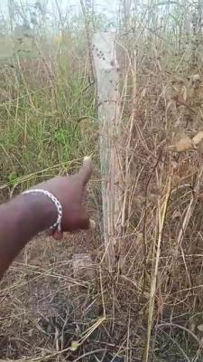 2 Plots of Land, Isuaniocha Awka North Lga of Anambra State, Amawbia, Awka, Anambra, Mixed-use Land for Sale