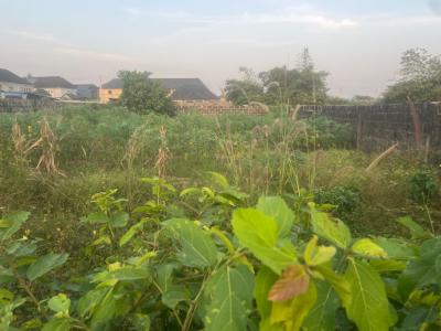 Two Plot of 600sqm (60 By120) Dry Land, Eleko, Ibeju, Lagos, Mixed-use Land for Sale