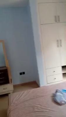 a Clean Room and Parlour Self Contained, Divine Estate, Amuwo Odofin, Lagos, Flat / Apartment for Rent