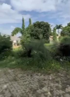 2500 Sqm of Commercial Land, Wuse 2, Abuja, Commercial Land for Sale