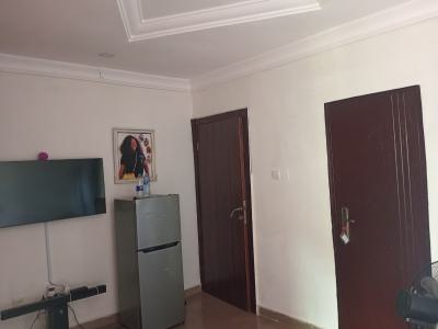 Roommate Needed, Lekki Scheme 2, Ajiwe, Ajah, Lagos, Self Contain (single Rooms) for Rent