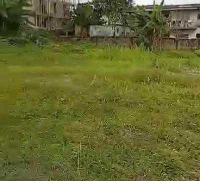 90ft By 100ft Bare Land Fence Round with Gate, Akhionbare Road, Gra, Benin, Oredo, Edo, Land for Sale