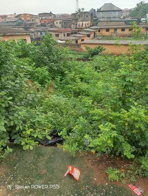 Half Plot of Land, Olowora, Magodo, Lagos, Residential Land for Sale