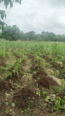 2 Acres at Monastery Road Sangotedo, Monastery Road Sangotedo, Sangotedo, Ajah, Lagos, Mixed-use Land for Sale