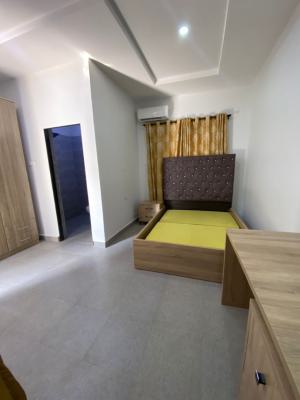 Luxury Furnished Self Contain Apartment, Asokoro District, Abuja, Self Contain (single Rooms) for Rent
