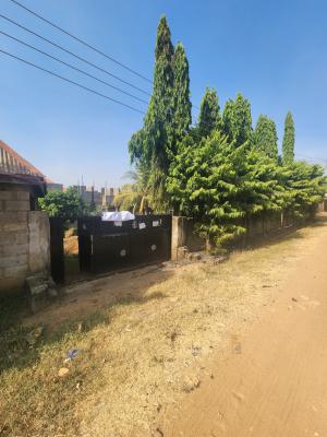 10 Bedroom Fully Detached Duplex (carcass), Behind Total Filling Station, Kurudu, Abuja, Detached Duplex for Sale