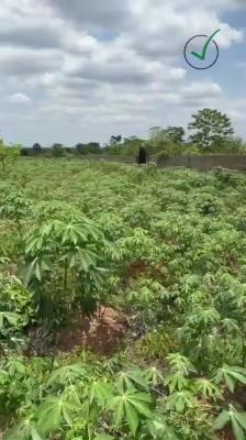 Plots of Land, Ukwulu ,beside The Anambra State University Igbariam., Awka, Anambra, Land for Sale