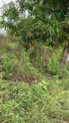 Plots of Land, Ukulu Igbariam, Awka, Anambra, Land for Sale
