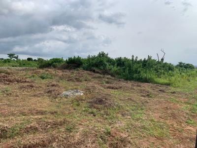 Affordable Land, Lagbin Ido Ologuneru, Ibadan,, Ibadan, Oyo, Mixed-use Land for Sale
