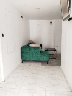 Mini Flat Apartment, Right Hand Side, Lekki Phase 1, Lekki, Lagos, Mini Flat (room and Parlour) for Rent