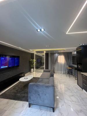 Newly Launched One Bedroom Apartment, Lekki, Lagos, Mini Flat (room and Parlour) Short Let