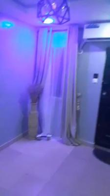 a Standard Mini Flat in a Serene Environment, Iara, Gbagada, Lagos, Mini Flat (room and Parlour) for Rent