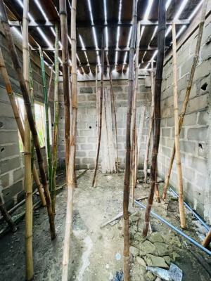 Architecturally Designed Offplan 4 Bedroom Detached Duplex  Plus Bq, Architecturally Designed Offplan 4 Bedroom Detached Duplex  Plus Bq, Surulere, Lagos, House for Sale