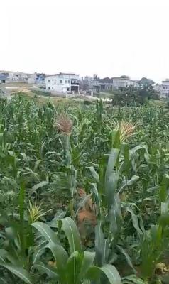 1500sqm Residential Land, Lugbe District, Abuja, Residential Land for Sale