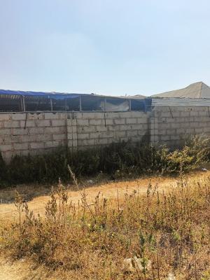 50 By 50 Ft Farm Land in Kubwa, Guidna Opposite Nysc Junction Off Kubwa Express Way, Kubwa, Abuja, Land for Sale