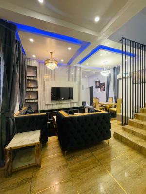 3 Bedroom Furnished Duplex with Solar, Idado, Idado, Lekki, Lagos, Detached Duplex for Rent