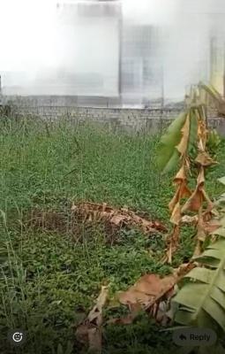 505 Sqm Table Land, Lekki Phase 1, Lekki, Lagos, Mixed-use Land for Sale