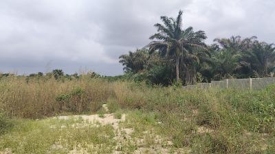 Land with Government Approved Excision, Peace Abode Estate , Behind, Lekki Free Trade Zone, Lekki, Lagos, Residential Land for Sale