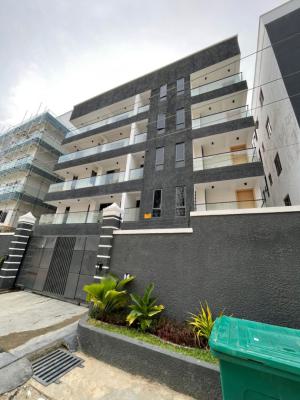 Perfectly Built 2 Bedroom Flat Just in for Grabs, Ikate, Lekki, Lagos, Flat / Apartment for Sale