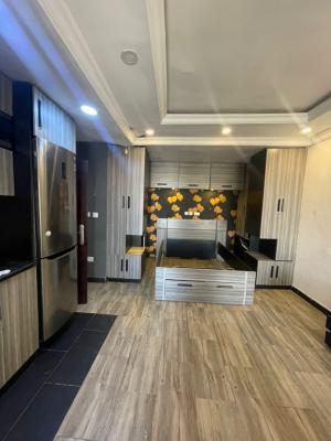 a Fully Furnished Spacious Room Self Con Available in a Calm Area, Onike, Yaba, Lagos, Self Contain (single Rooms) for Rent
