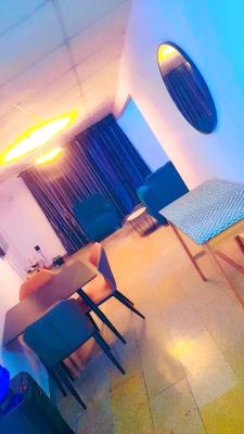 Tastefully Furnished and Fully Serviced Mini Flat with Balcony and 2, 1004, Victoria Island (vi), Lagos, Flat / Apartment for Rent