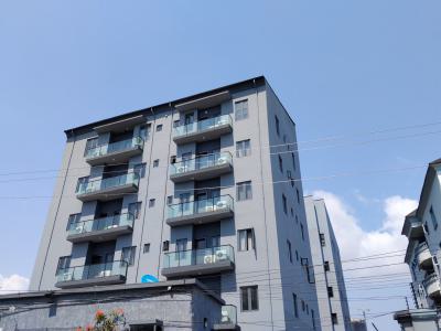 2 Bedroom Front View (5th Floor, with Tv Console), Ikoyi, Lagos, Flat / Apartment for Rent