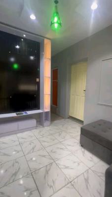 a Standard and Furnished Mini Flat, Off Pedro Road, Shomolu, Lagos, Mini Flat (room and Parlour) for Rent