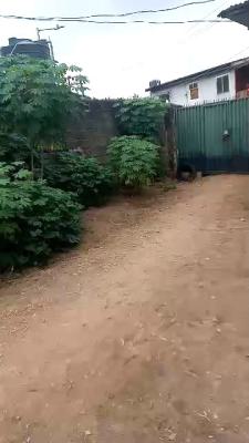 Compact 209 Sqm of Land with Strong Roi, Bosere Rd, Ijaiye, Ojokoro, Ifako-ijaiye, Lagos, Residential Land for Sale