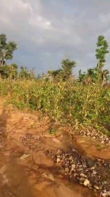 Unlock Massive Profits in Abujas Hottest Emerging District!, Guzape 2, Guzape District, Abuja, Residential Land for Sale