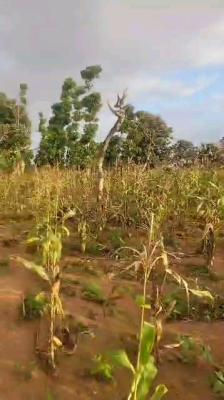 Massive Profit Opportunity in Abujas Fast-rising Guzape District!, Guzape Ii (2), Guzape District, Abuja, Residential Land for Sale