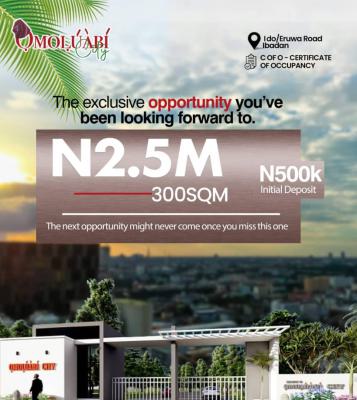 Omoluabi City, Ibadan --- Affordable C of O Plots in a Fast-growing Area, Omoluabi Estate, Eleyele, Ibadan, Oyo, Residential Land for Sale