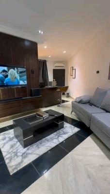 Luxury Furnished 1 Bedroom Apartment with City View, Stella Maris, Life Camp, Abuja, Mini Flat (room and Parlour) for Rent