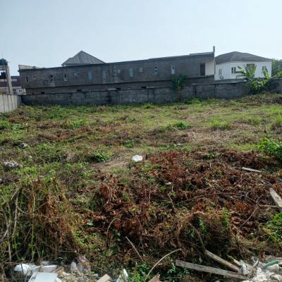 Two Prime Land Plots - 480.279 Sqm & 444.353 Sqm, Liberty Estate, Ikota, Lekki, Lagos, Residential Land for Sale